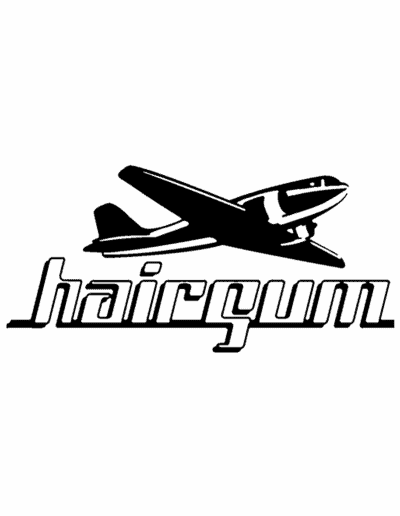 Logo HAIRGUM